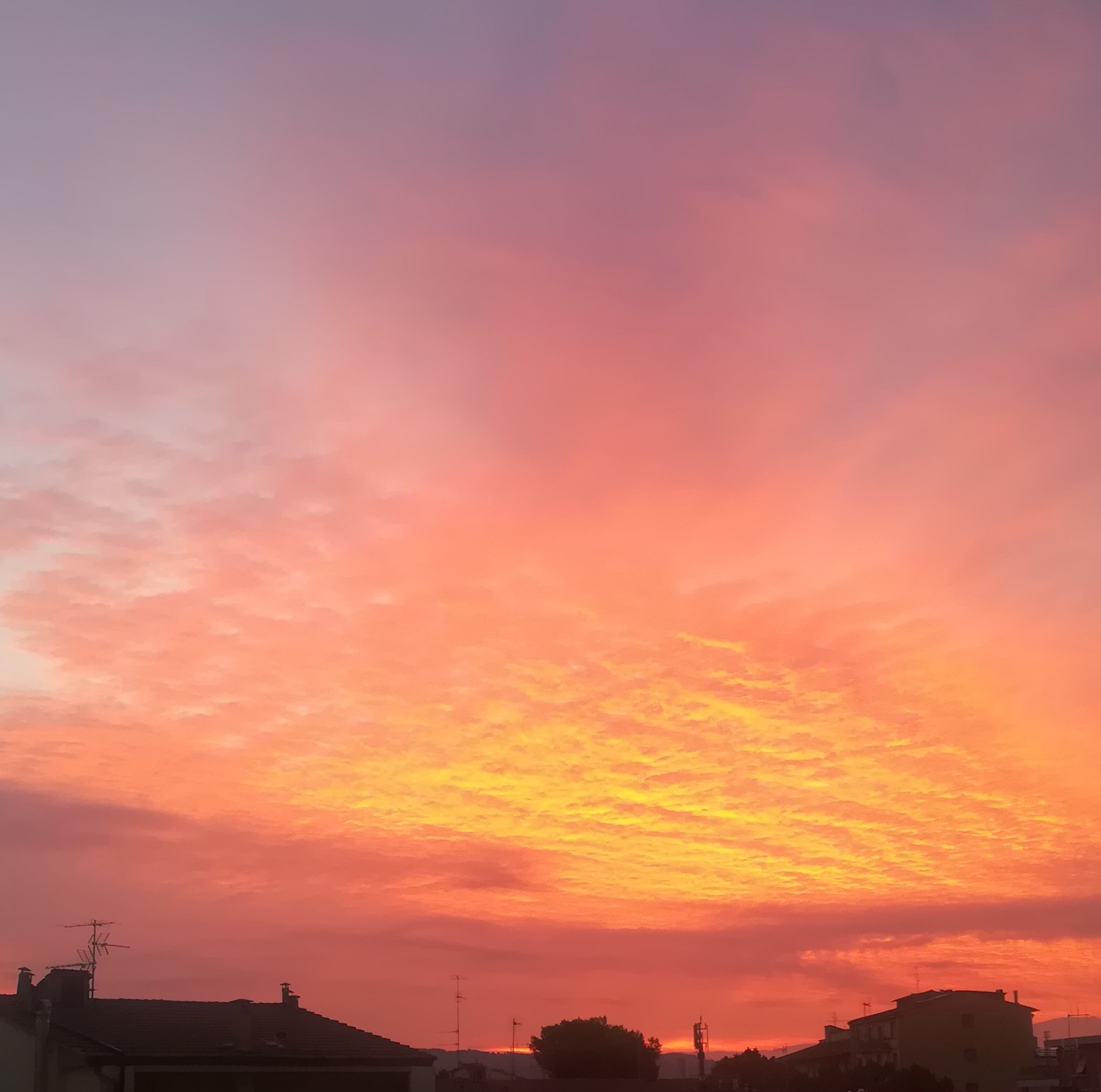 Aurora_a_Firenze_13_settembre_2018 Aurora_a_Firenze_13_settembre_2018